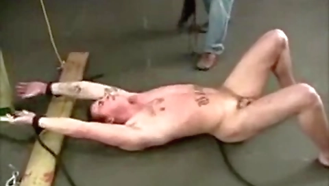 Hot blonde gets wild with dildo machine