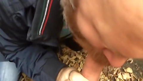 Mash copy & big dick to suck naivei