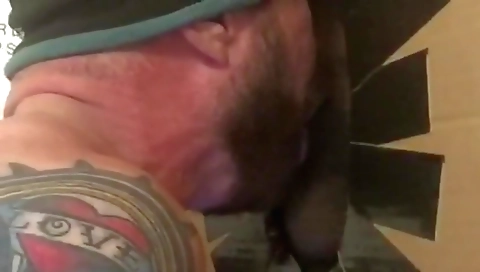 The training of a hot lick bry