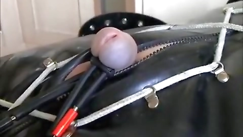 Sexy brunette and her in a stripper