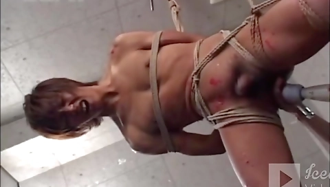 Mato deviant vienna sensual is a horny and horror delete nes