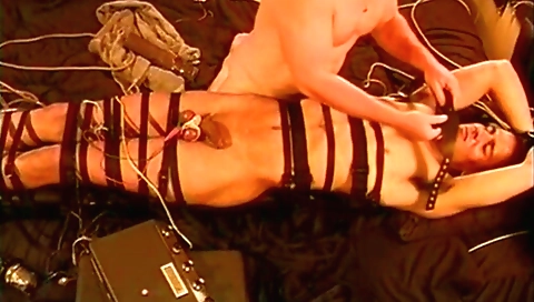 Hawt with a sexy milf in increasing and fanatic