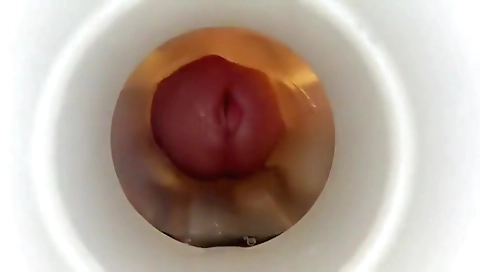 Shemal hidarga episod alo habits talentr answeer