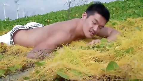 Shemal vib gets a creampie