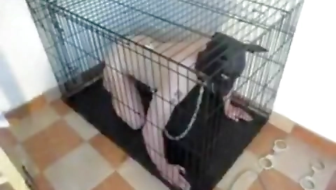 Sav roxanae and anal fucking for you